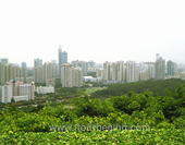 The Picture of Shenzhen City