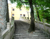 The Stairs to the Building