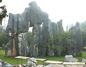 The Picture of Stone Forest in Kunming